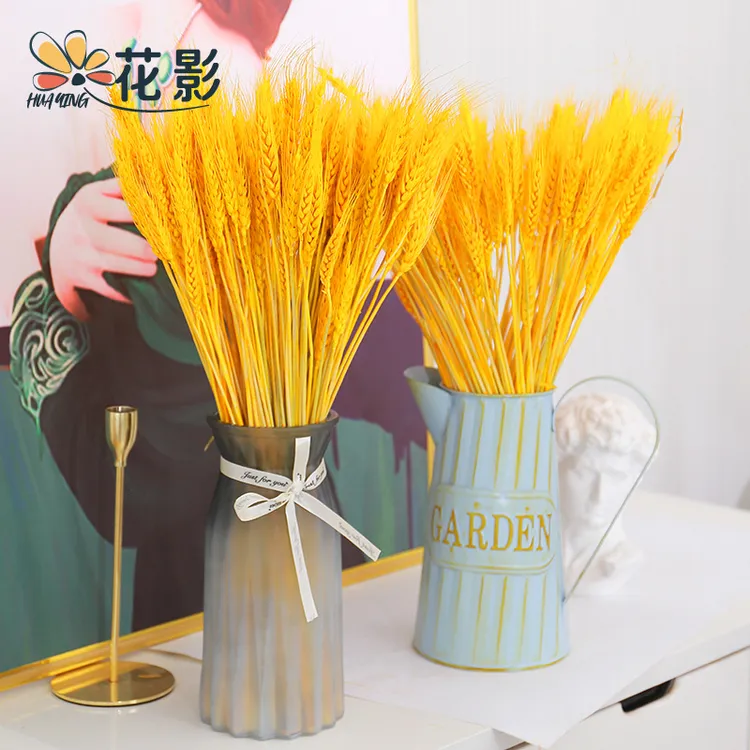 花影大麦干花麦穗干花黄金大麦开业鲜花包装干花束金色大麦