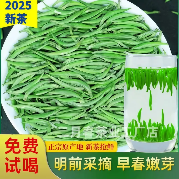 2025年新茶雀舌茶叶绿茶明前毛尖贵州湄潭翠芽高山春茶清香型散装