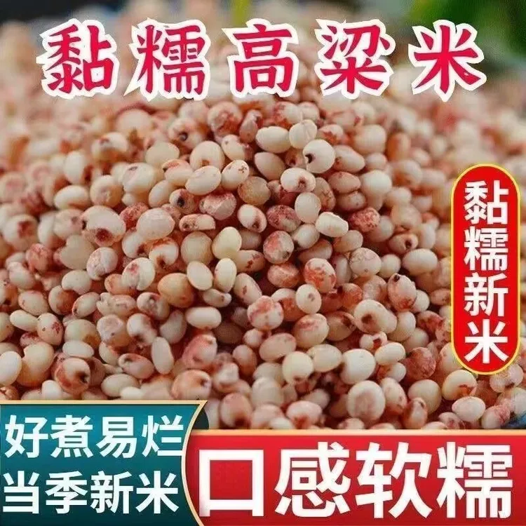 东北农家东北粘糯高粱米粘高粱米糯高红高粱中秋新鲜优质当季新米