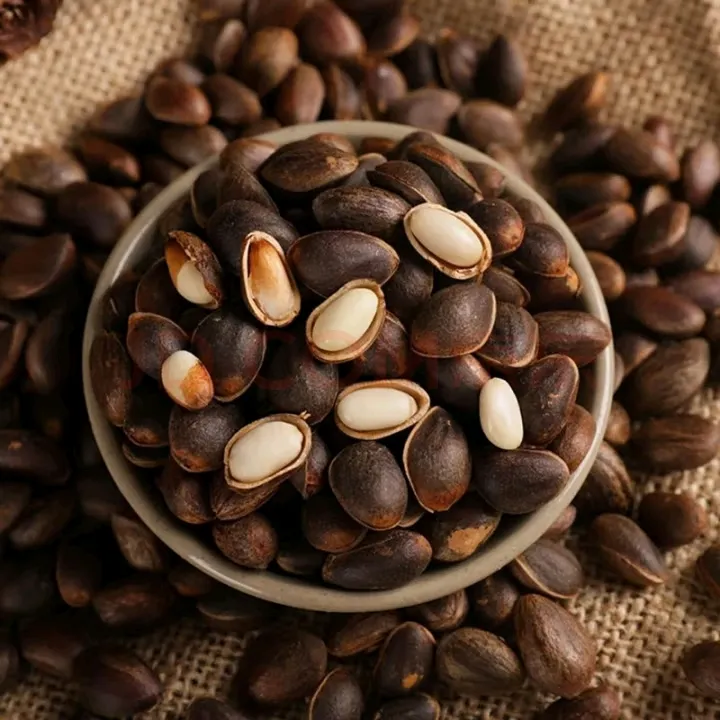 云南新鲜松子产地直发