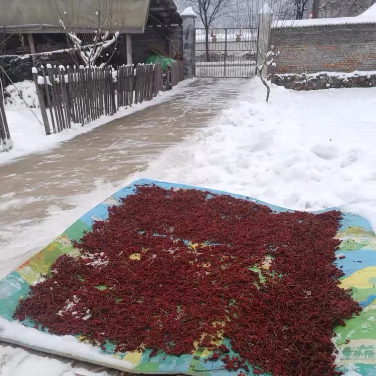 长白山五味子 东北特产 2025新货 原生态无添加干果花茶泡水炖汤