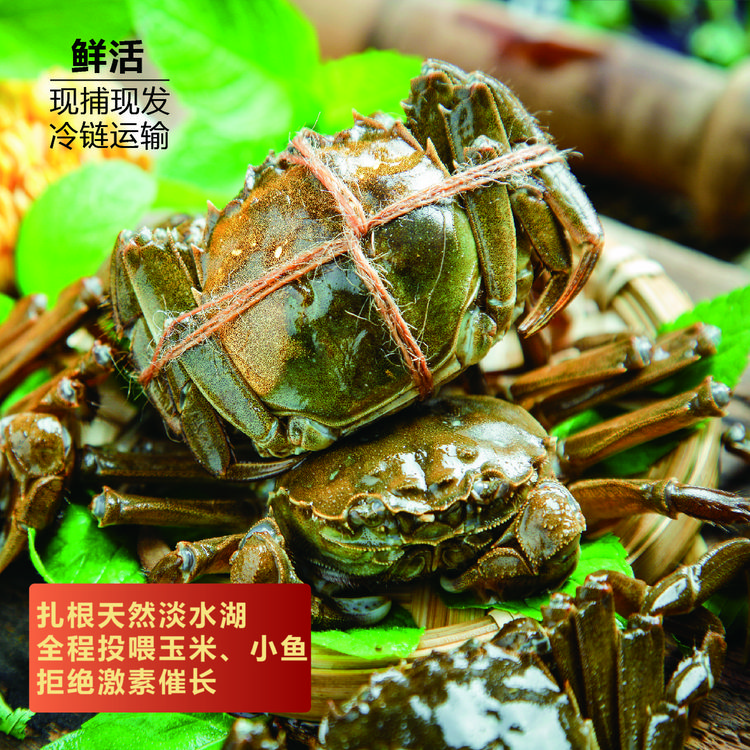 洪泽湖【活蟹】大闸蟹3.5两公5只3两母5只礼盒装包邮江苏河蟹直供