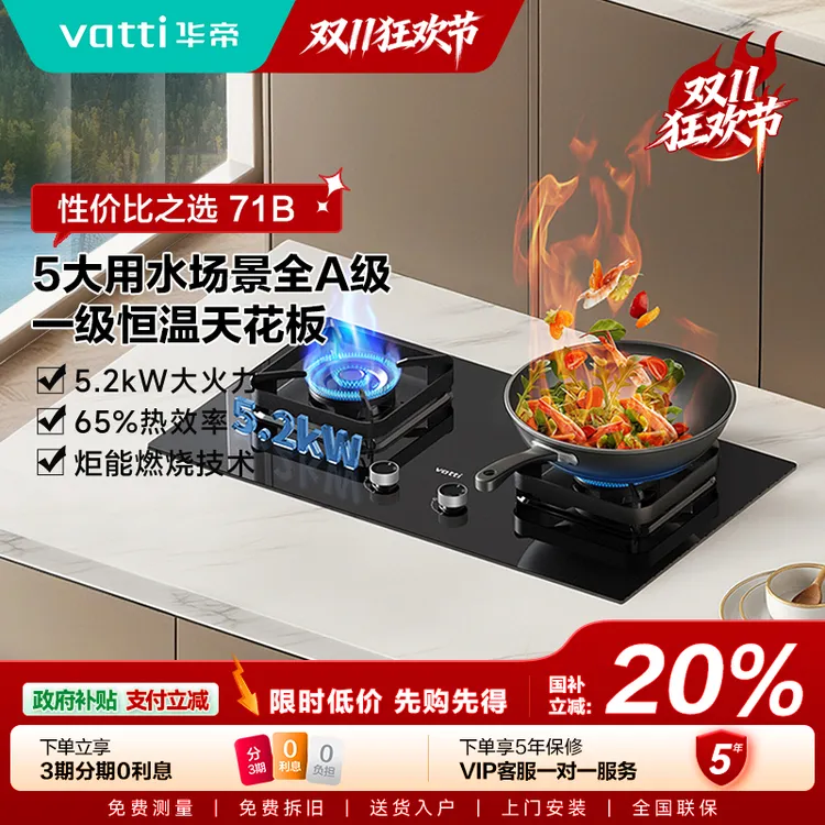 Vatti/华帝71B华帝燃气灶一级能效5.2kW猛家用节能双灶天然气灶具