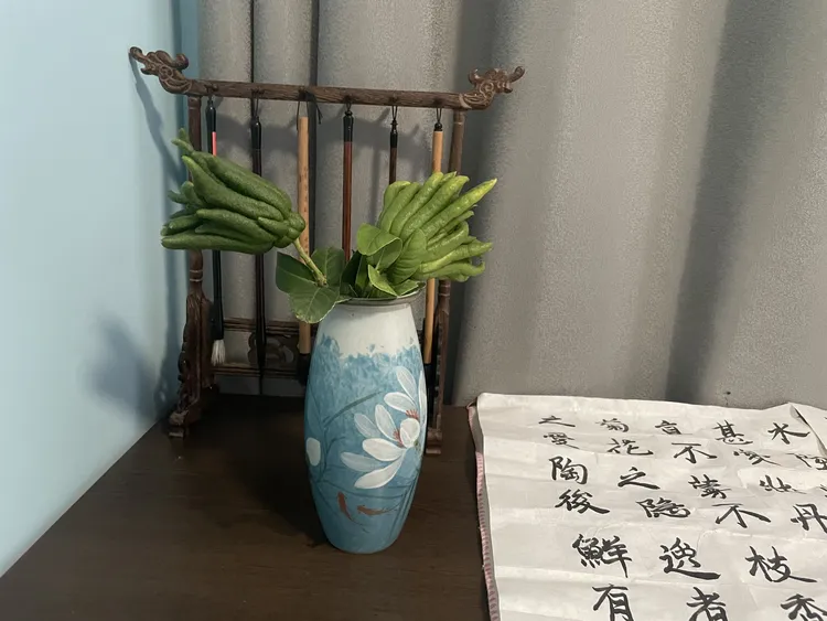 金华佛手带枝条水培水养观赏闻香清供把玩新鲜佛手绿植