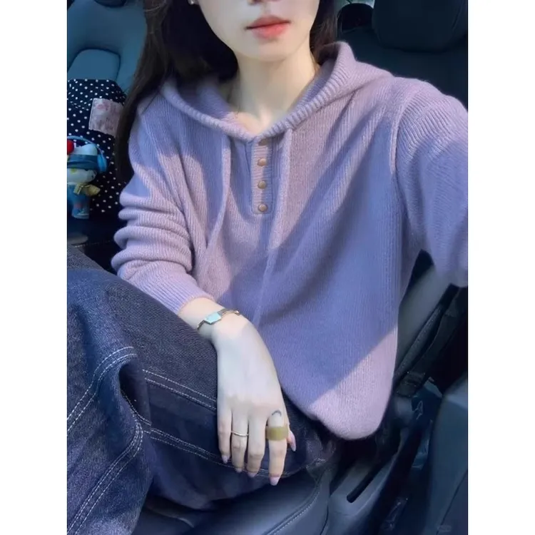 2025新款今年流行爆款韩系独特漂亮连帽上衣紫色针织衫毛衣女秋冬
