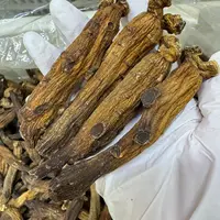 新齐航高丽黒参 下山货 整枝 25头左右/半斤/一斤