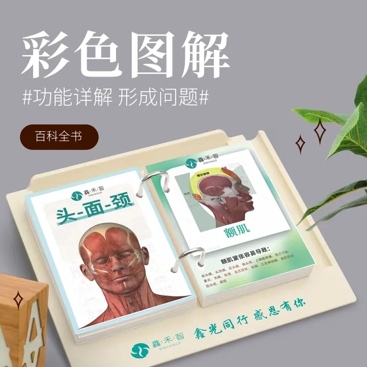 鑫禾智美容肌肉彩色详细图解多功能台卡