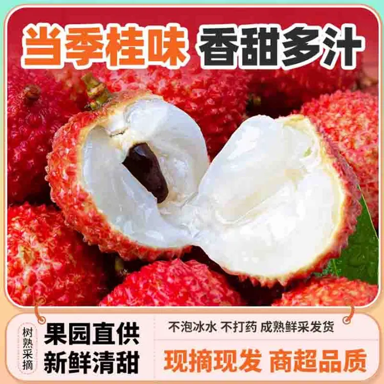 【顺丰冷链】正宗茂名桂味荔枝 现摘现发 新鲜荔枝不泡水不催熟