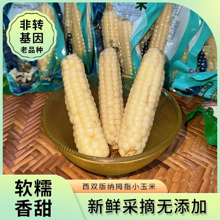 西双版纳拇指玉米早餐新鲜精品B级拇指玉米甜香糯老品种非转基因