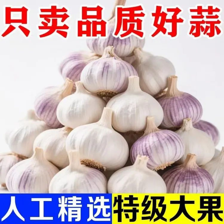 8斤特大蒜王】大蒜干蒜紫白皮蒜多瓣蒜新晒干蒜炒菜特香去腥提味