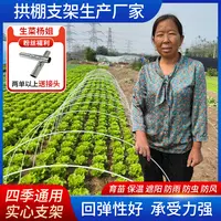 【生菜杨姐专属】玻璃纤维拱棚支架遮阳防虫保温育苗棚玻璃纤维棒条