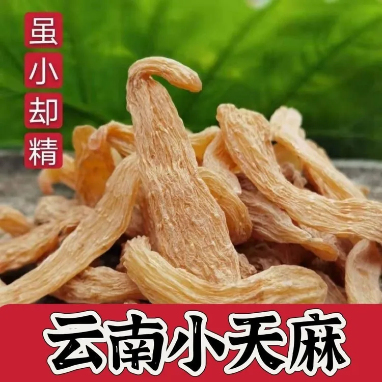 云南野外生长小天麻深山天然新鲜天麻干货小草坝天麻精选高品质