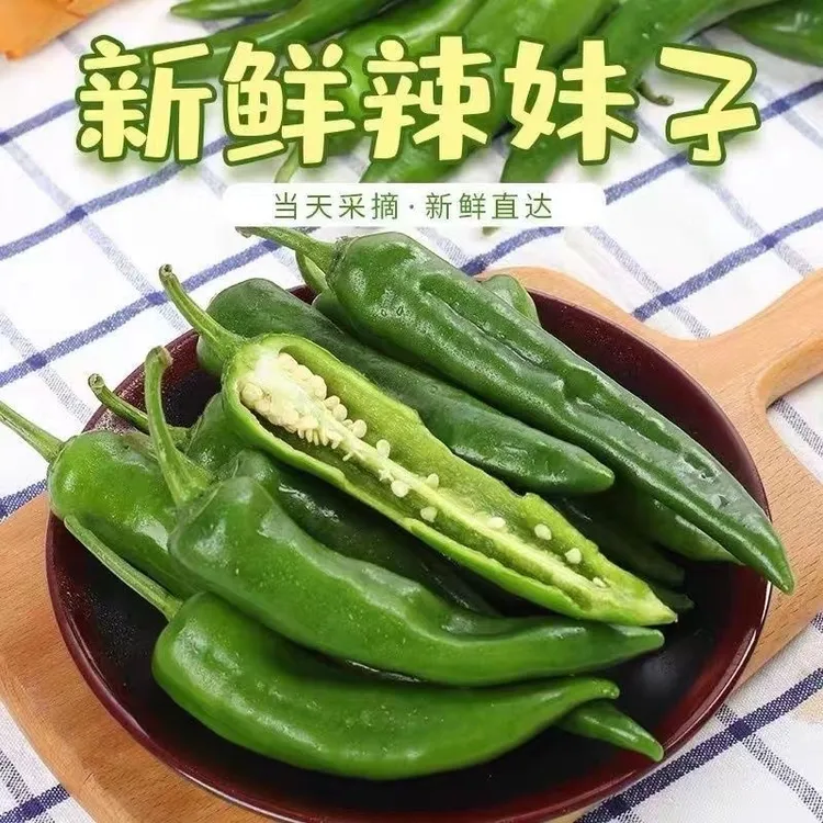 新鲜辣妹子辣椒土辣椒现摘现发皮薄辣香籽少又辣又香露天种植