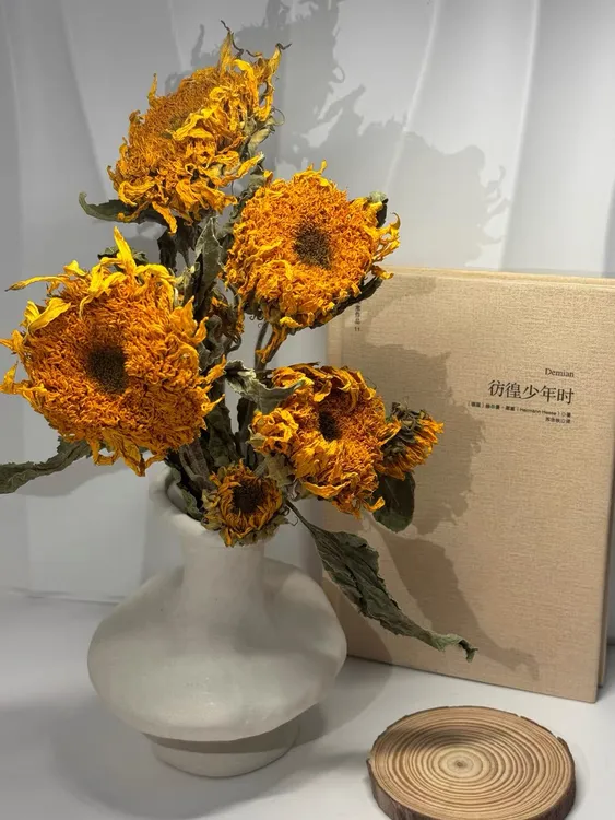 【富贵的花甸】向日葵干花复古油画（可以摆放很久很久的花儿）