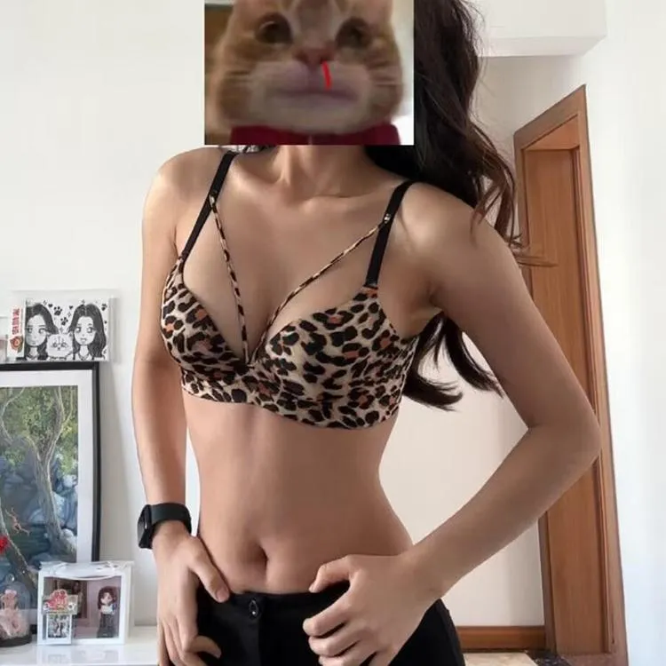 性感禁欲系纯欲豹纹小胸聚拢内衣女不空杯收副乳防下垂显大文胸罩