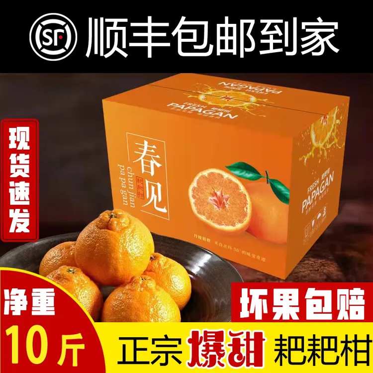 现摘现发正宗四川春见耙耙柑粑粑柑皮薄多汁优质新鲜水果净重10斤