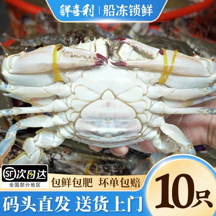 【10只装】母蟹正宗舟山梭子蟹3-4两左右3斤海鲜螃蟹【冻蟹】不可蒸煮