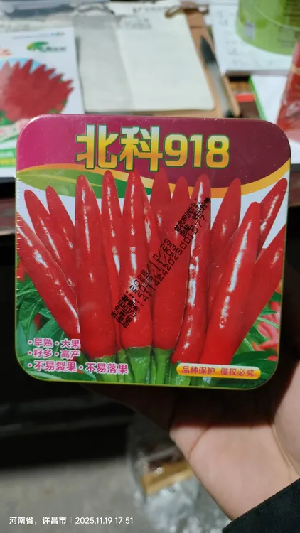 北科918干椒鲜椒就是好