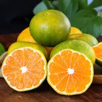 湖北无籽蜜桔青皮蜜橘新鲜当季水果酸甜多汁薄皮宜昌特早蜜桔