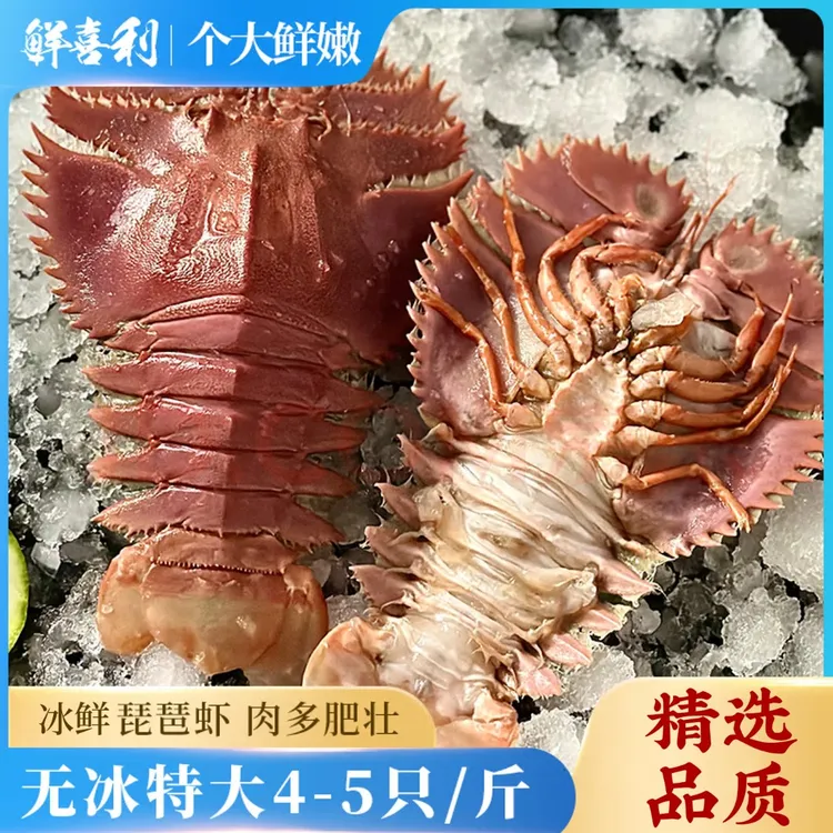 舟山琵琶虾鲜活冷冻九齿扇虾海鲜虾姑特大濑尿虾生鲜深海冷冻爬虾