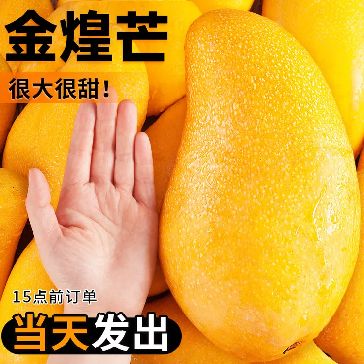 海南金煌芒斤10芒果一级大果新鲜水果现摘青甜心黄皮水仙芒整箱