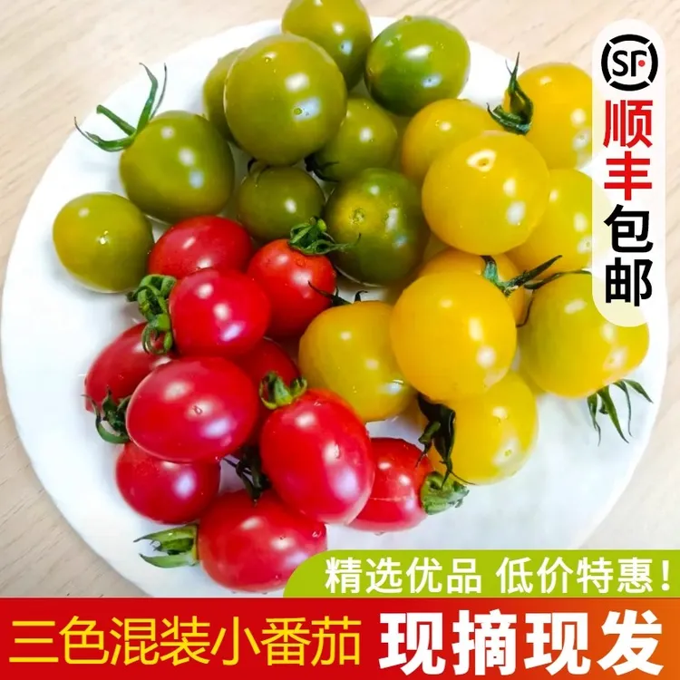 彩色小番茄5斤新鲜圣女果红黄小西红柿樱桃番茄水果千禧圣女果
