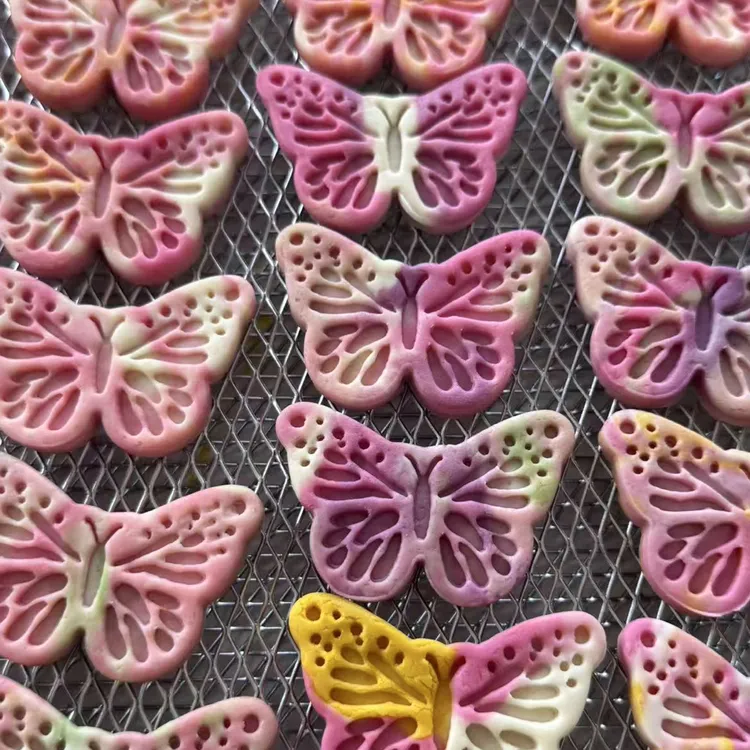 宠物饼干莫奈蝴蝶