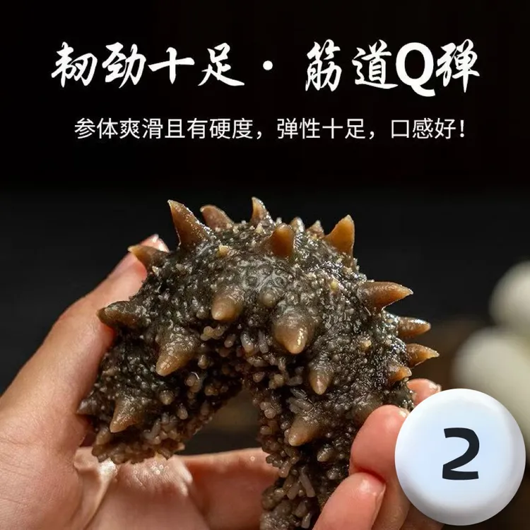 鲜食海参 源头工厂直发