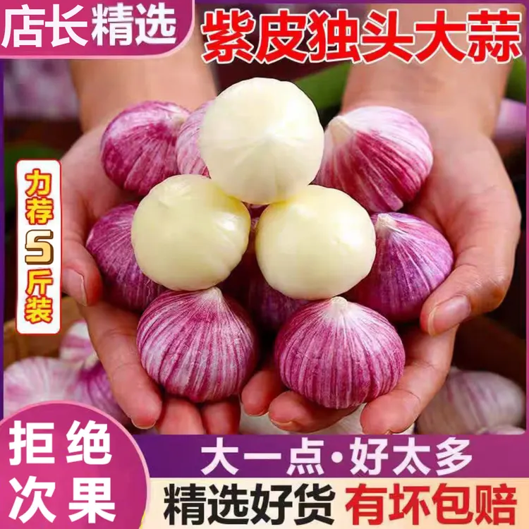2025云南独头蒜干大蒜头新鲜干紫皮圆头独红辣大蒜头干蒜5斤