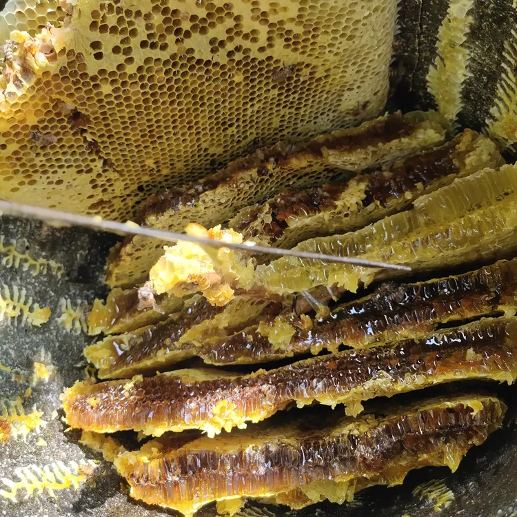 农家土蜂蜜纯天然蜂蜜无添加无加工好蜂蜜