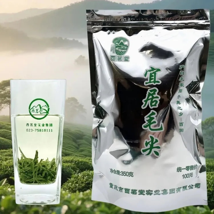 黄金芽新茶茶叶宜居毛尖茶酉阳绿茶正宗雨前炒青春茶350g2025新茶