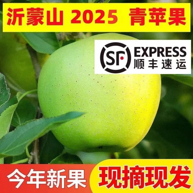 【顺丰】沂蒙山金帅苹果青苹果酸甜口孕妇水果现摘现发产地直发