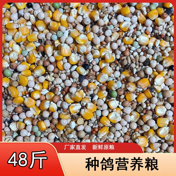 龙领种鸽营养粮48斤/袋肉鸽观赏鸽信鸽种鸽鸟食鸽子鸽粮包邮