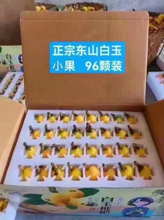 苏州东山白玉枇杷（小果）