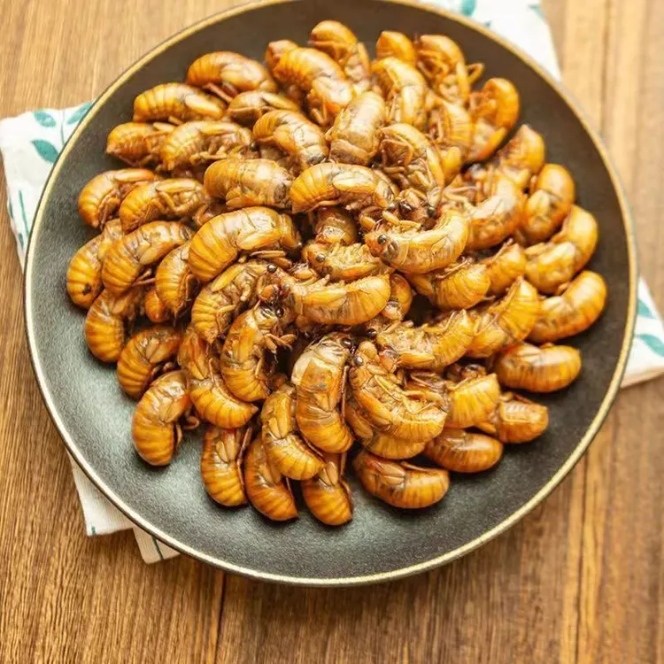 2025顺丰包邮新鲜爬叉猴知了猴金蝉白蝉爬拉猴速冻冷链50只100只