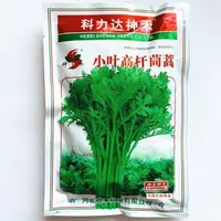 小叶茼蒿光杆茼蒿种子皇帝菜高长杆蒿蒿菜菊花菜种籽春秋季大田种