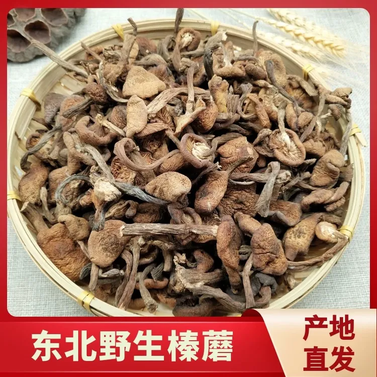 东北特产野生榛蘑无根无沙干货适合小鸡炖蘑菇人工挑选自然晾晒