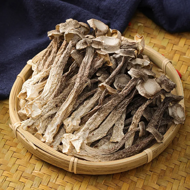 古田高山鹿茸菇无硫无熏干货炒菜炖汤鲜美营养