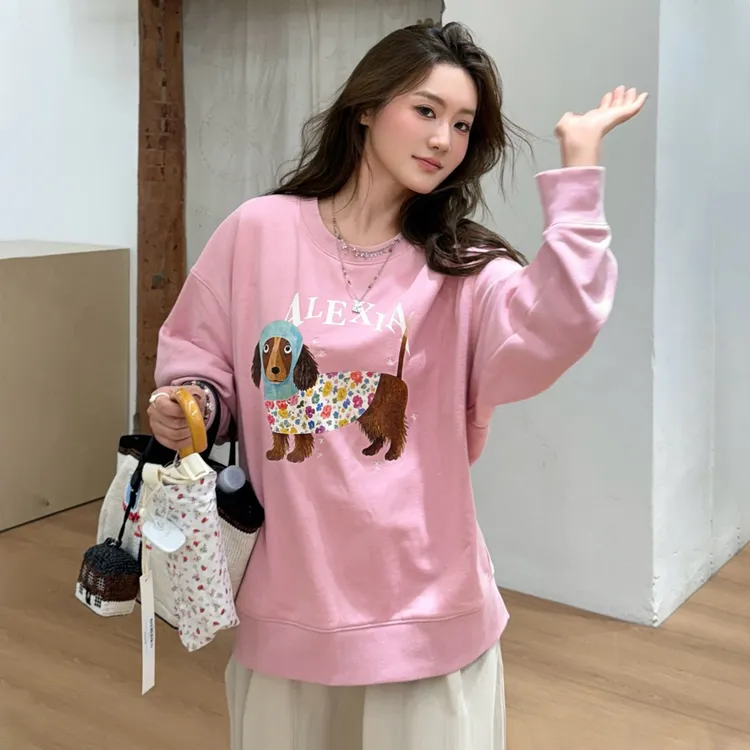 绒耳朵儿同款Alexia Sandra刺绣星星小狗印花女宽松纯棉卫衣25秋