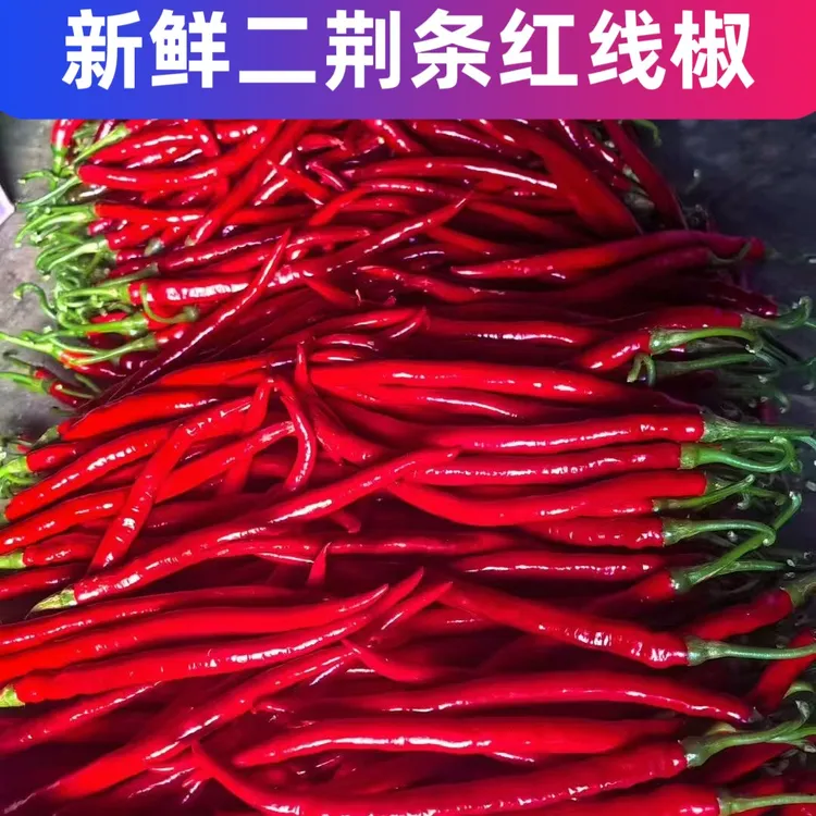 新鲜现摘红二荆条红线椒贵州红线椒可做剁椒酱泡椒的中辣尖椒
