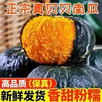 贝贝南瓜软糯香甜4.5斤（4—7个）