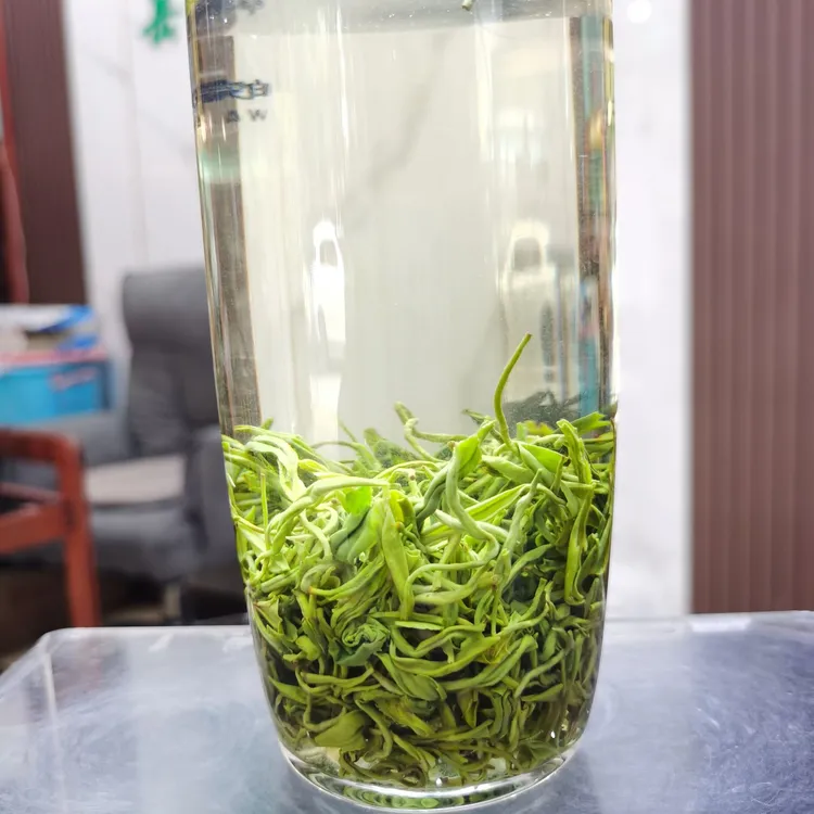 2025新茶岳西绿茶浓香板栗香耐泡高山茶T10