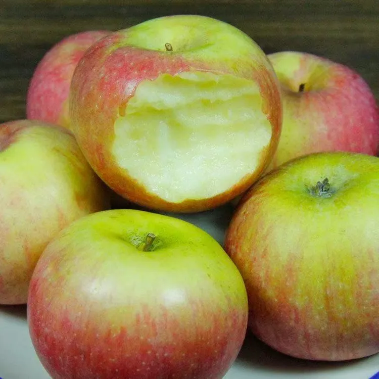 正宗辽宁瓦房店国光苹果新鲜水果老味道家乡味酸甜脆