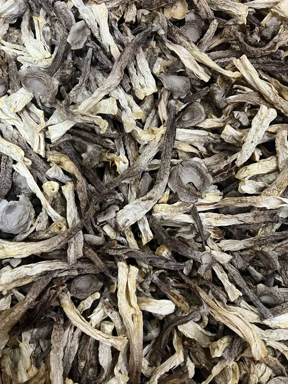 鹿茸菇干货新货煲汤炖汤食材新鲜香菇蘑菇