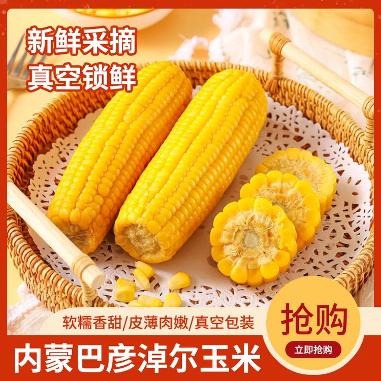 内蒙古巴彦淖尔沙地新鲜现摘真空包装甜糯玉米7-8支（试吃2支）