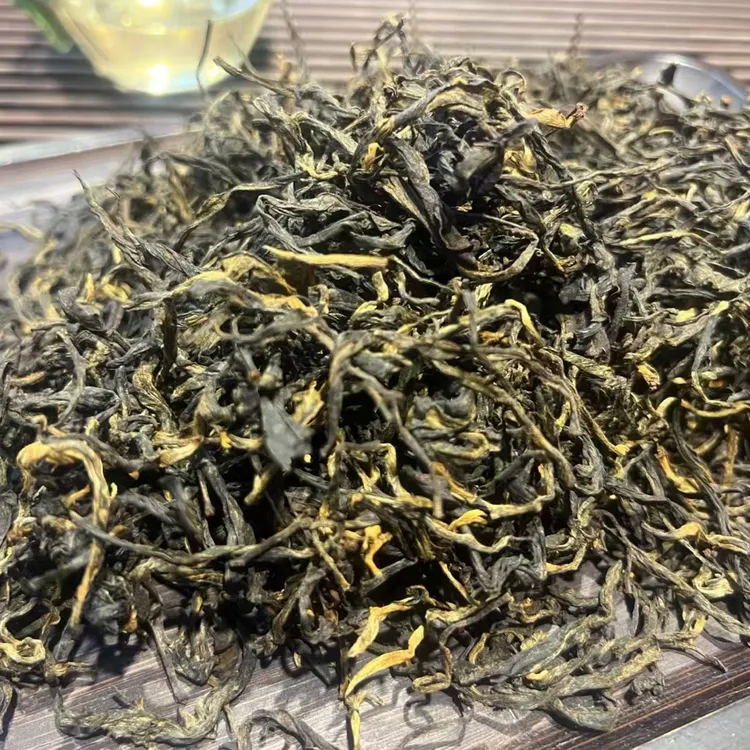云南深山秘境哀牢山茶区普洱茶古树红茶