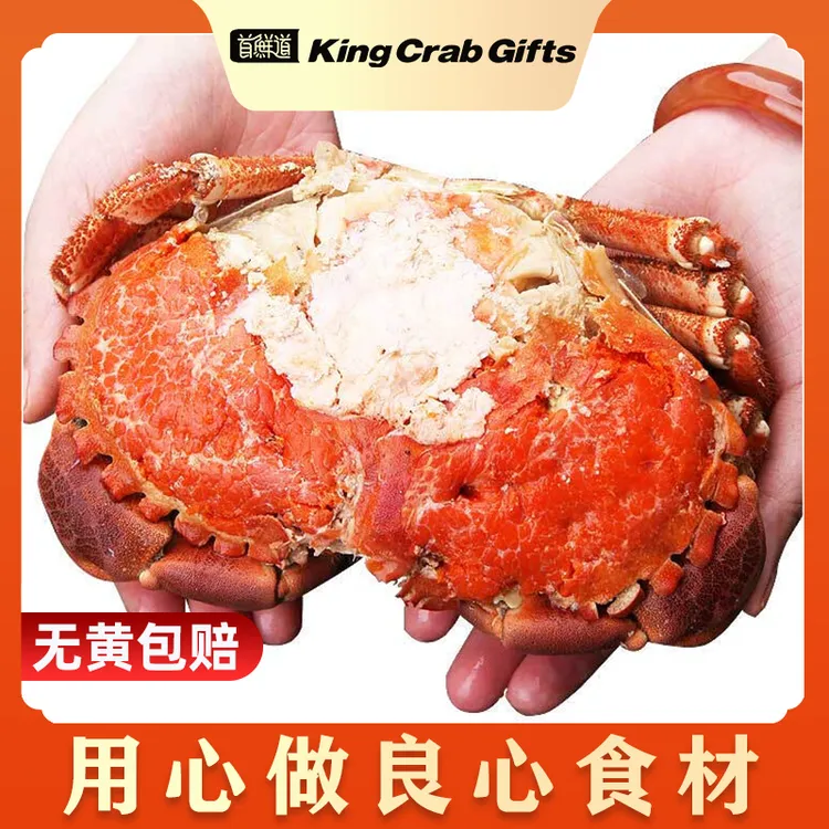 原装进口超大1-2只面包蟹鲜活熟冻螃蟹大螃蟹海鲜蟹类
