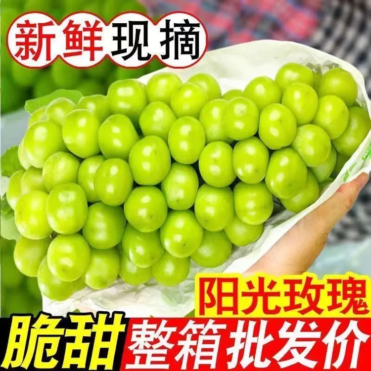 S1【顺丰包邮】正宗阳光玫瑰葡萄当季新鲜水果爆汁无核无籽整箱发货