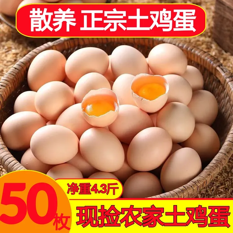 推荐农家散养新鲜土鸡蛋五谷杂粮喂养健康营养