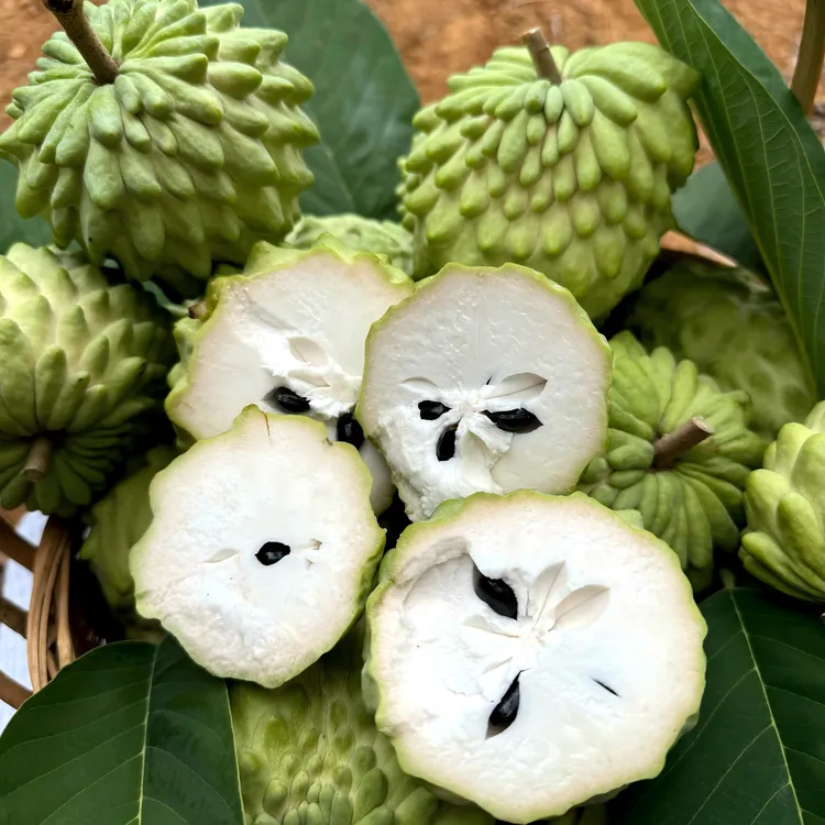 【淋大妈】云南高原牛奶凤梨释迦果（香甜软糯）3斤/5斤装